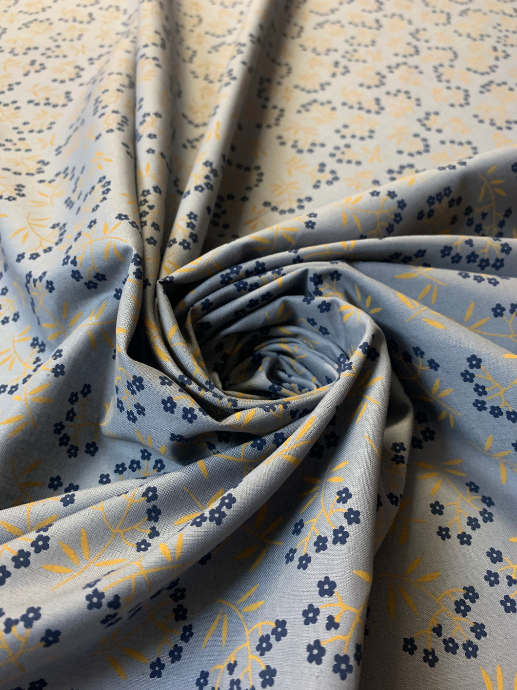 Cotone